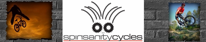 Spinsanity Cycles